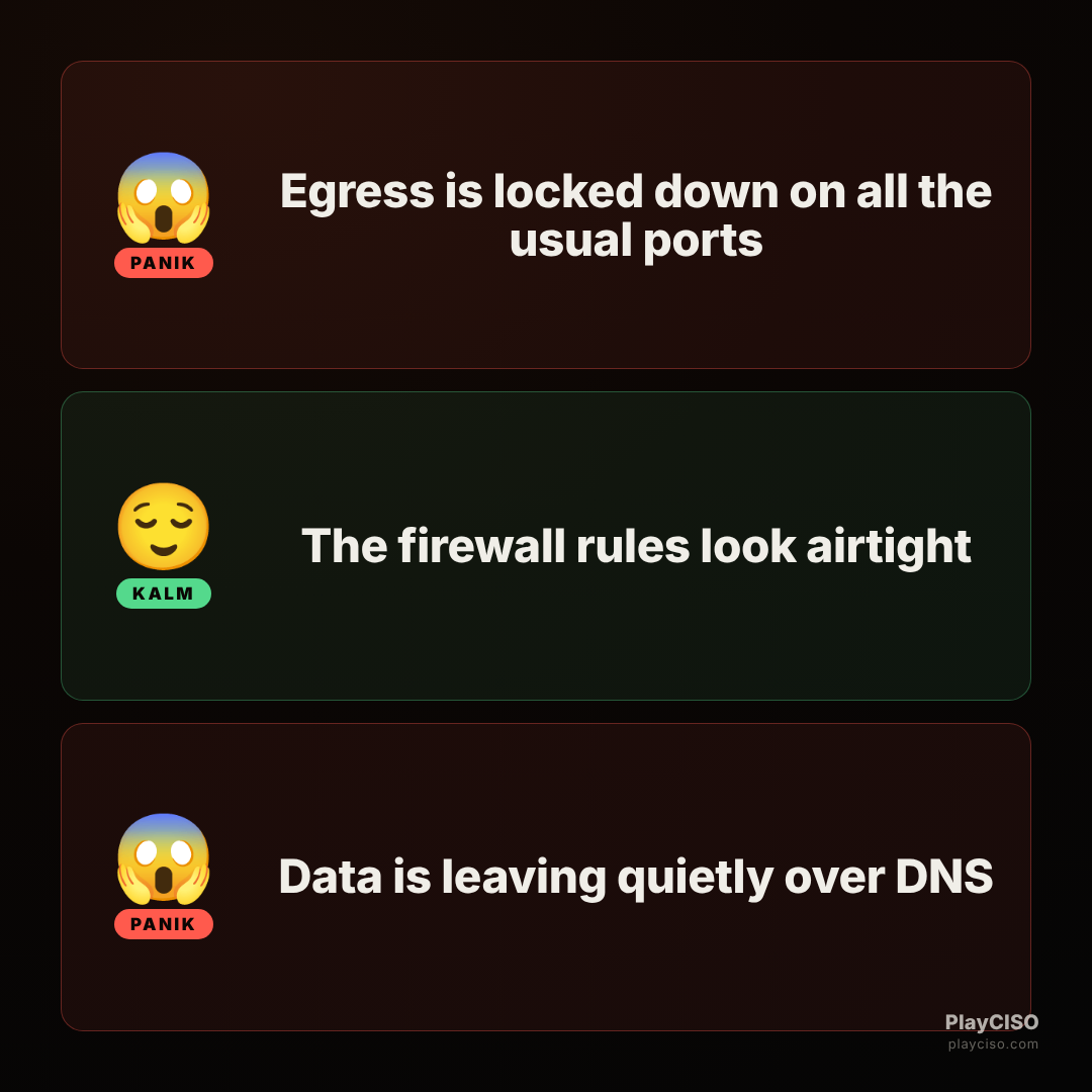 Panik meme about data exfiltrating over DNS despite locked egress ports.